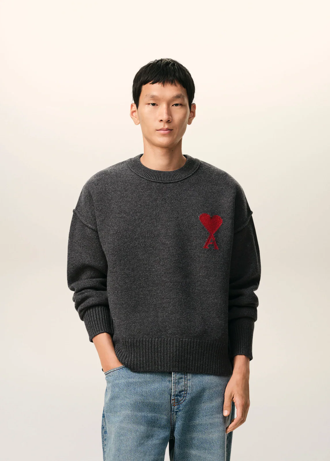 PULL GRIS COL ROND AMl