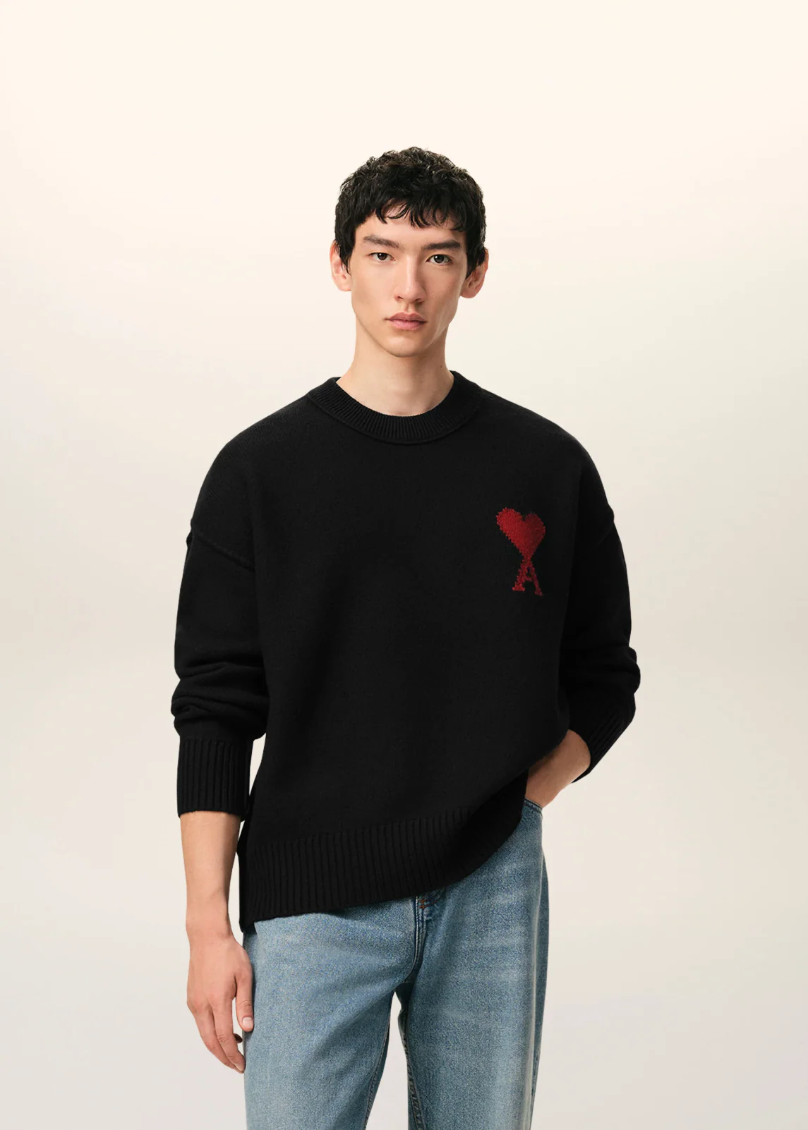 PULL NOIR COL ROND AMl