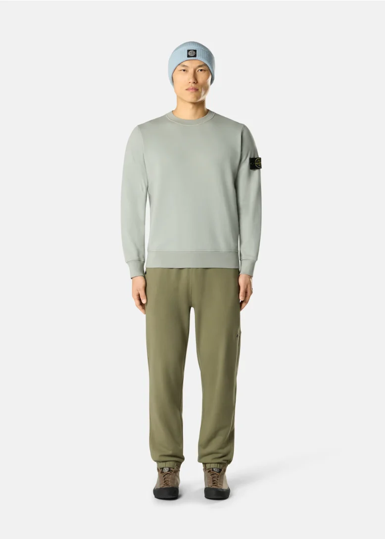 PULL VERT SAUGE COTON STONE