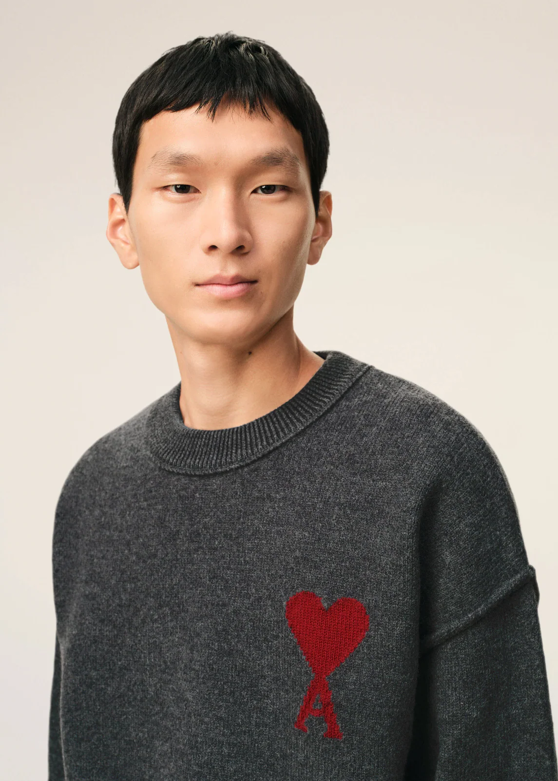 PULL GRIS COL ROND AMl